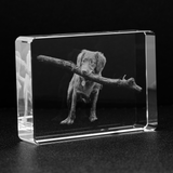 The Elegant Touch- Personalize Your Crystal Stadium