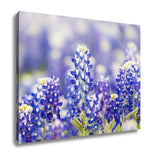 Gallery Wrapped Canvas, Austin Texas Wildflower Closeup Bluebonnets In Spring